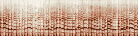 この録音の 4秒 から 34秒 までの周波数の濃淡