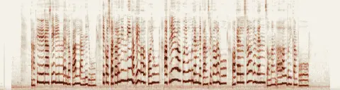 この録音の 0秒 から 26秒 までの周波数の濃淡