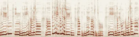 この録音の 6秒 から 36秒 までの周波数の濃淡