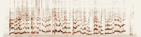 この録音の 0秒 から 27秒 までの周波数の濃淡