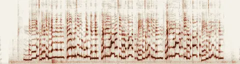 この録音の 0秒 から 29秒 までの周波数の濃淡