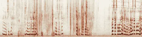 この録音の 5秒 から 35秒 までの周波数の濃淡