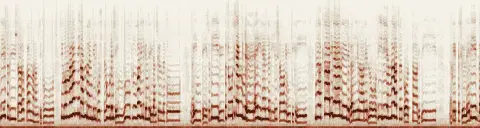 この録音の 6秒 から 36秒 までの周波数の濃淡