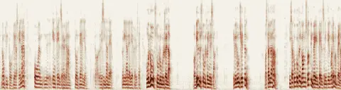 この録音の 4秒 から 34秒 までの周波数の濃淡
