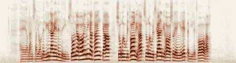 この録音の 0秒 から 13秒 までの周波数の濃淡