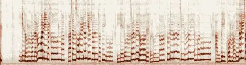 この録音の 6秒 から 36秒 までの周波数の濃淡