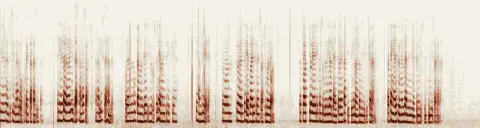 この録音の 5秒 から 35秒 までの周波数の濃淡