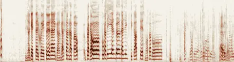 この録音の 0秒 から 22秒 までの周波数の濃淡