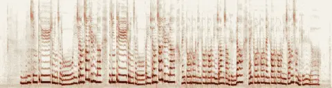 この録音の 0秒 から 28秒 までの周波数の濃淡