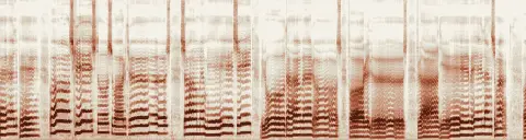 この録音の 6秒 から 36秒 までの周波数の濃淡