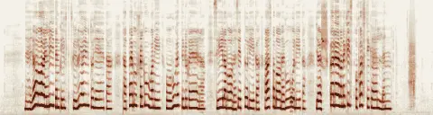 この録音の 0秒 から 25秒 までの周波数の濃淡