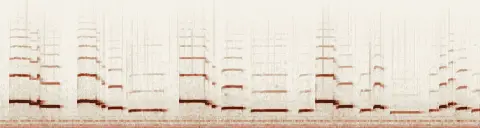 この録音の 6秒 から 36秒 までの周波数の濃淡