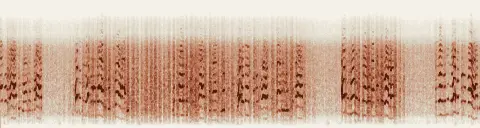 この録音の 6秒 から 36秒 までの周波数の濃淡