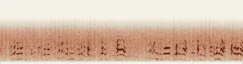 この録音の 19秒 から 49秒 までの周波数の濃淡