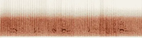 この録音の 19秒 から 49秒 までの周波数の濃淡