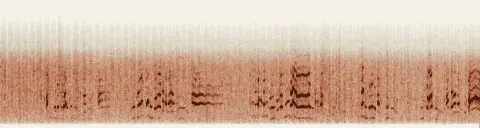 この録音の 6秒 から 36秒 までの周波数の濃淡