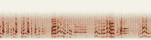 この録音の 7秒 から 37秒 までの周波数の濃淡