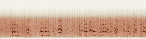 この録音の 6秒 から 36秒 までの周波数の濃淡