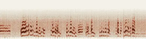 この録音の 7秒 から 37秒 までの周波数の濃淡