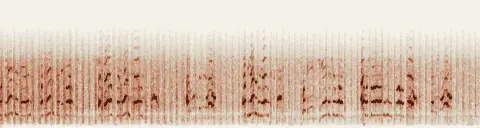 この録音の 14秒 から 44秒 までの周波数の濃淡