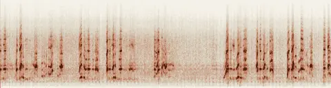 この録音の 12秒 から 42秒 までの周波数の濃淡