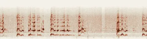 この録音の 10秒 から 40秒 までの周波数の濃淡