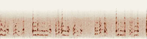 この録音の 13秒 から 43秒 までの周波数の濃淡