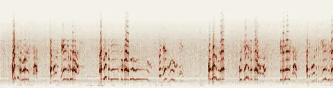 この録音の 14秒 から 44秒 までの周波数の濃淡