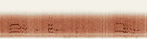 この録音の 12秒 から 42秒 までの周波数の濃淡