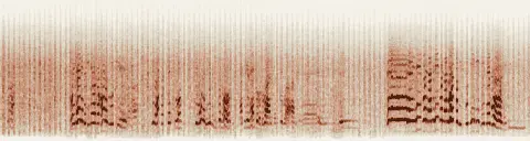 この録音の 10秒 から 40秒 までの周波数の濃淡