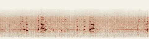 この録音の 12秒 から 42秒 までの周波数の濃淡
