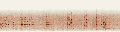 この録音の 11秒 から 41秒 までの周波数の濃淡