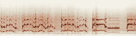 この録音の 10秒 から 40秒 までの周波数の濃淡