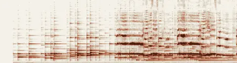 この録音の 0秒 から 30秒 までの周波数の濃淡