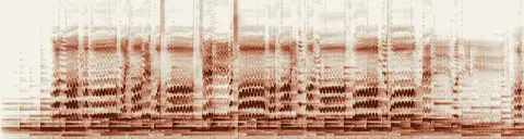 この録音の 0秒 から 30秒 までの周波数の濃淡