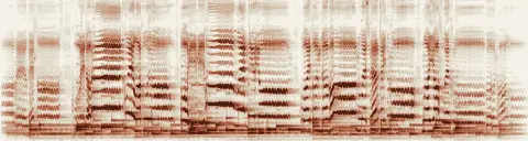 この録音の 0秒 から 30秒 までの周波数の濃淡