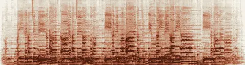この録音の 0秒 から 30秒 までの周波数の濃淡