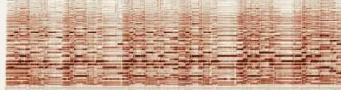 この録音の 0秒 から 30秒 までの周波数の濃淡