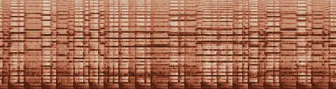 この録音の 17秒 から 47秒 までの周波数の濃淡
