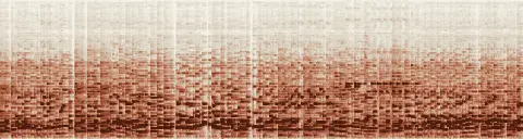 この録音の 19秒 から 49秒 までの周波数の濃淡