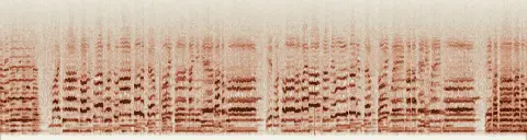 この録音の 13秒 から 43秒 までの周波数の濃淡