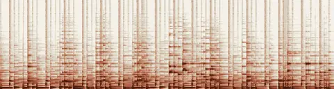 この録音の 16秒 から 46秒 までの周波数の濃淡