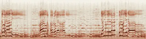 この録音の 18秒 から 48秒 までの周波数の濃淡
