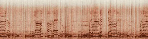 この録音の 18秒 から 48秒 までの周波数の濃淡