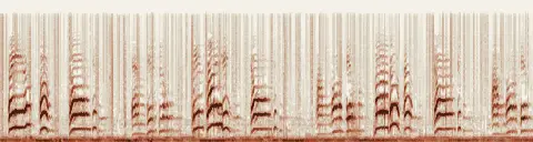 この録音の 5秒 から 35秒 までの周波数の濃淡