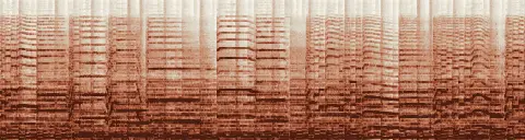 この録音の 10秒 から 40秒 までの周波数の濃淡