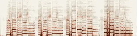 この録音の 0秒 から 22秒 までの周波数の濃淡