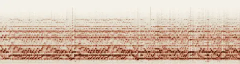 この録音の 18秒 から 48秒 までの周波数の濃淡