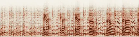 この録音の 19秒 から 49秒 までの周波数の濃淡