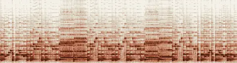 この録音の 5秒 から 35秒 までの周波数の濃淡